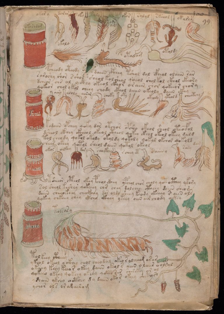 decoded voynich manuscript