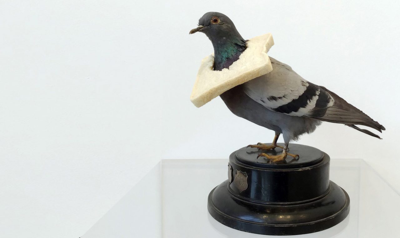 https://www.artsandcollections.com/wp-content/uploads/2020/02/pigeon-with-bread3-1280x763.jpg