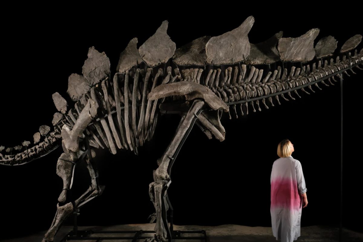 Sotheby’s’ Record-Breaking Dinosaur Sale