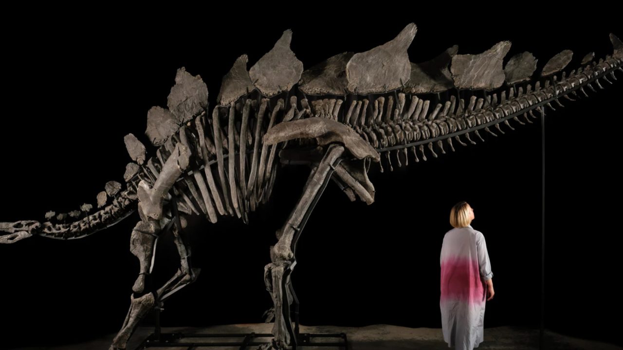 Sotheby’s’ Record-Breaking Dinosaur Sale